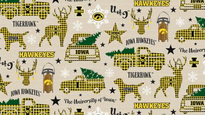 Iowa Hawkeye Outdoor Decor  Gear Up Your Garden